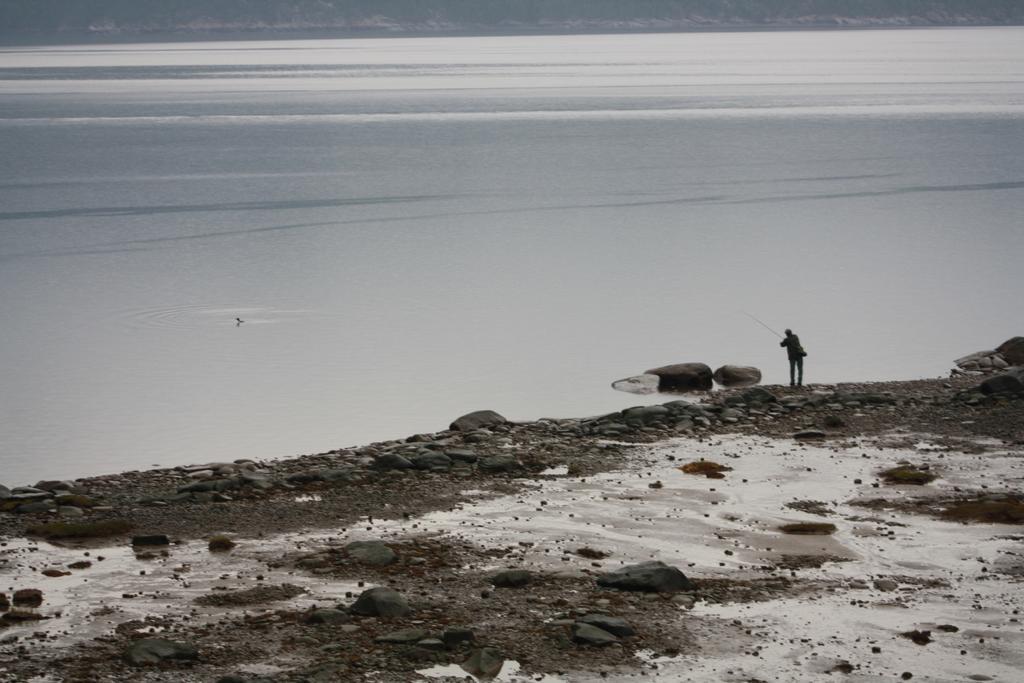 LʼAnse-Saint-Jean Chalet La Cailleヴィラ 部屋 写真